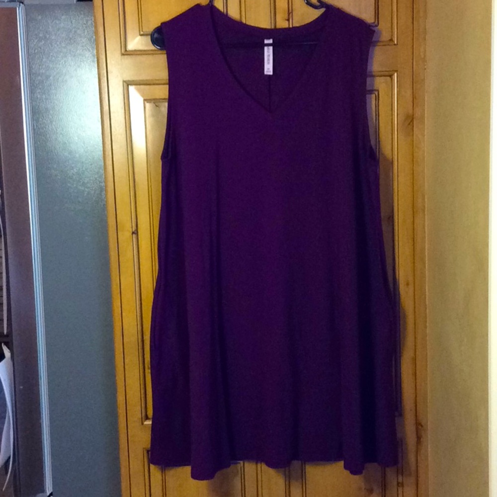 FINAL SALE PRICE Zanana Premium 2X Sleeveless Dress w/Pockets